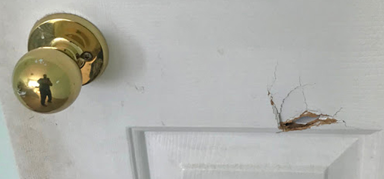 interior door hole repair Exeter