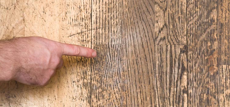 Wood Door Scratch Repair in Exeter